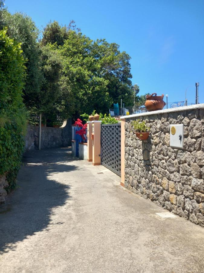 Villetta Panoramica Forio di Ischia Kültér fotó