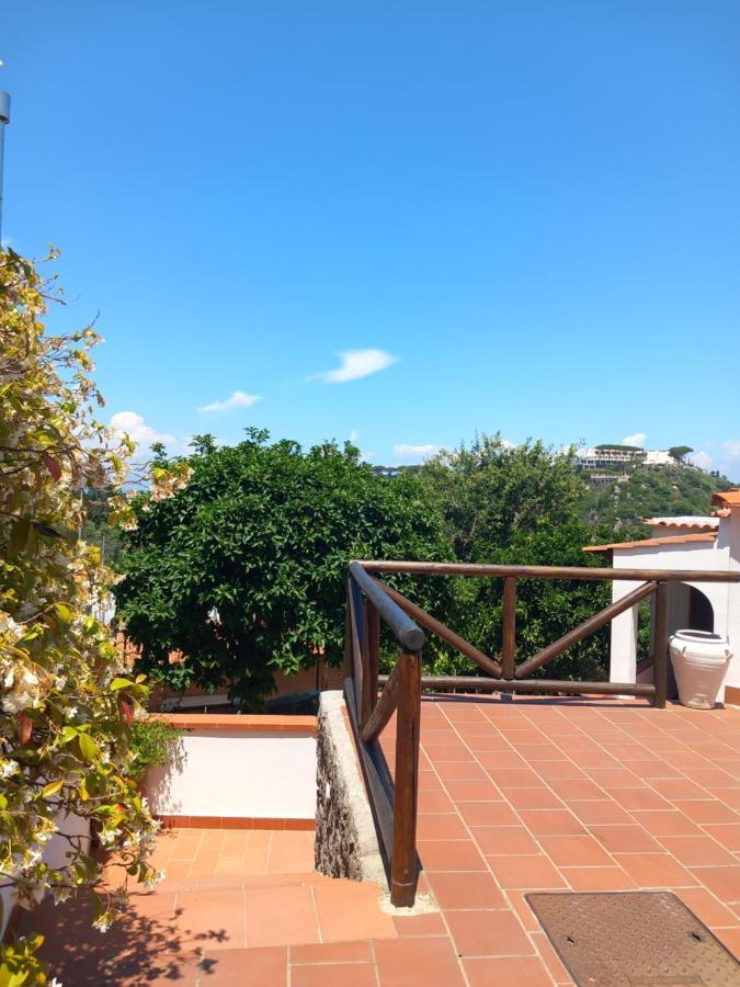 Villetta Panoramica Forio di Ischia Kültér fotó