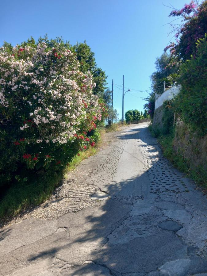 Villetta Panoramica Forio di Ischia Kültér fotó
